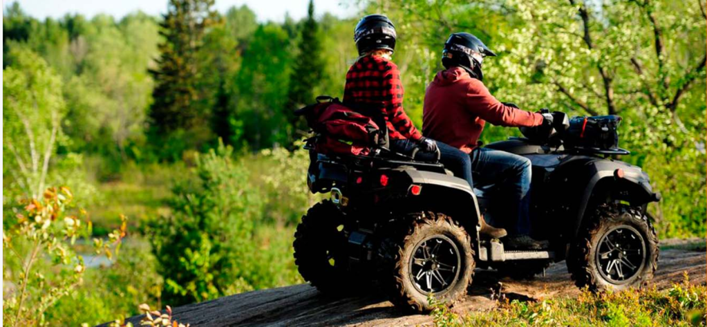 Mckinley Polaris: A Healy&nbsp;Treasure